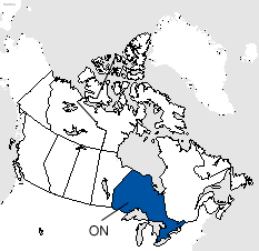 Ontario Area Code Map